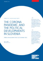 The Corona pandemic and the political developments in Slovenia