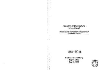 Executive and legislative at local level